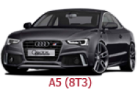 A5 (8T3)