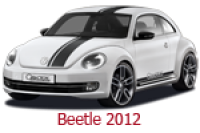 Beetle 2012